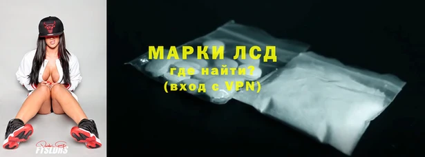 сатива Волосово