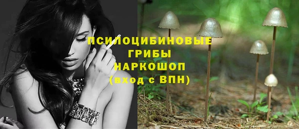 сатива Волосово