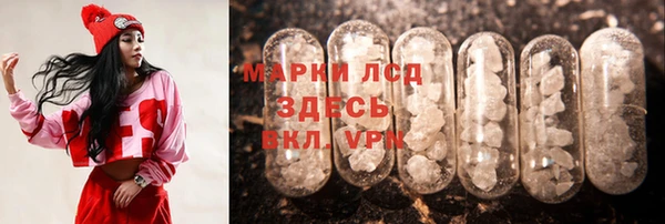 сатива Волосово