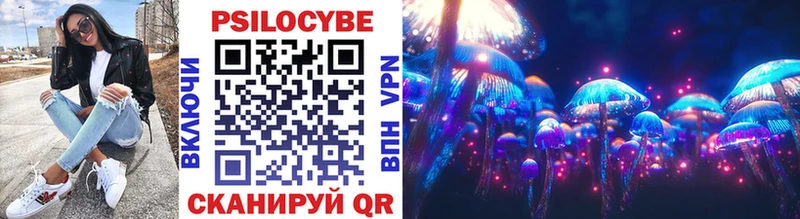 купить закладку  Зуевка  Галлюциногенные грибы мухоморы 